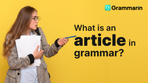 What is an article in grammar